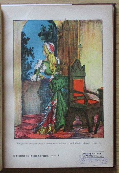 IL SOLITARIO DEL MONTE SELVAGGIO