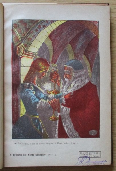 IL SOLITARIO DEL MONTE SELVAGGIO