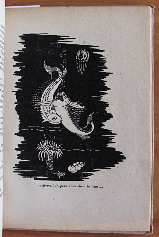 IL TAMBURINO E ALTRE FIABE - ill. RICCOBALDI