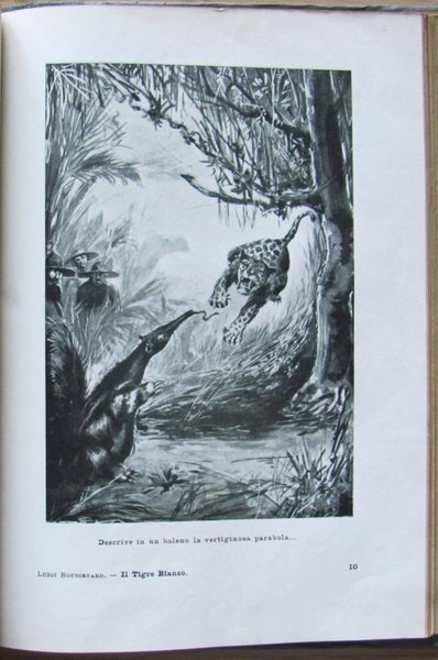IL TIGRE BIANCO
