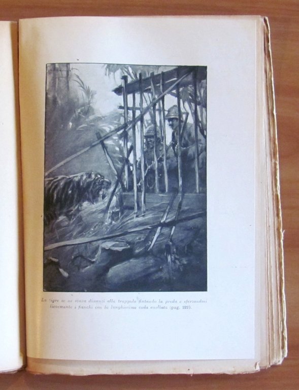 IL VENDICATORE DI BRAHAMA - I ed. 1923 - ill. …