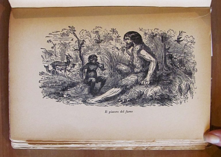 IL VERO ROBINSON - Le autentiche avventure del marinaio Selkirk …