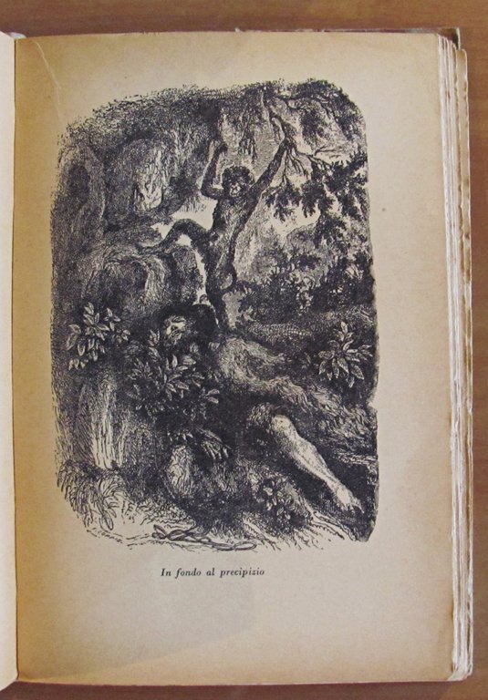 IL VERO ROBINSON - Le autentiche avventure del marinaio Selkirk …