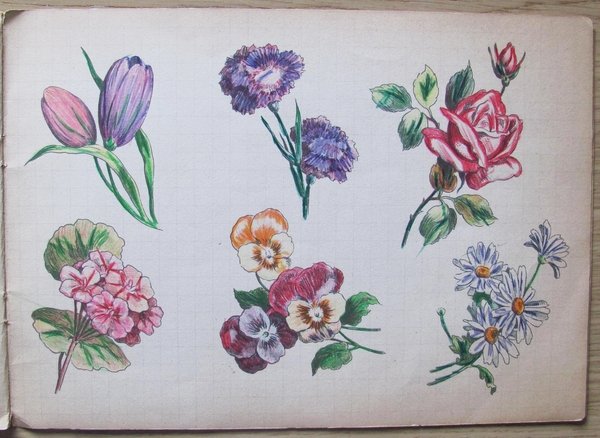 IMPARO A DISEGNARE - IMPARA L?ARTE E METTILA DA PARTE!