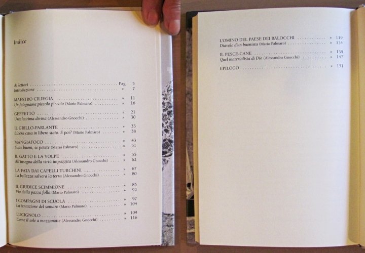 IPOTESI SU PINOCCHIO, I ed. 2001