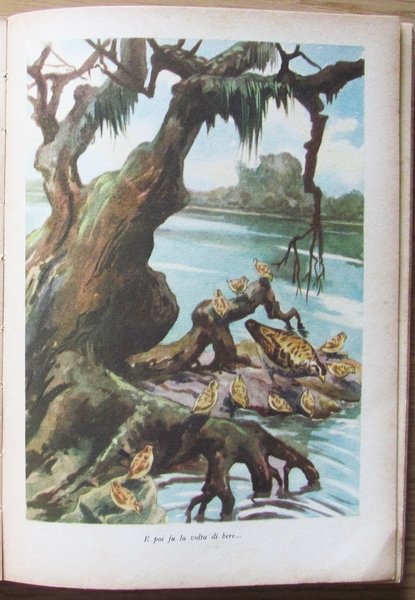 ISOLADORO - Antologia di letture per la quarta classe elementare