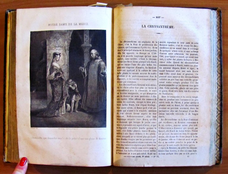 JOURNAL DES DEMOISELLES (18 ANNO)