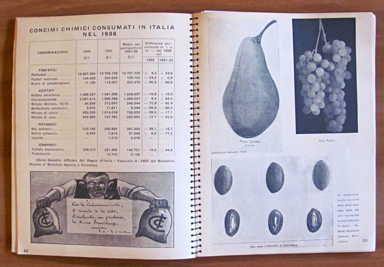 L'AGENDA DELLA CALCIOCIANAMIDE, 1938 - Illustrato - Concimi