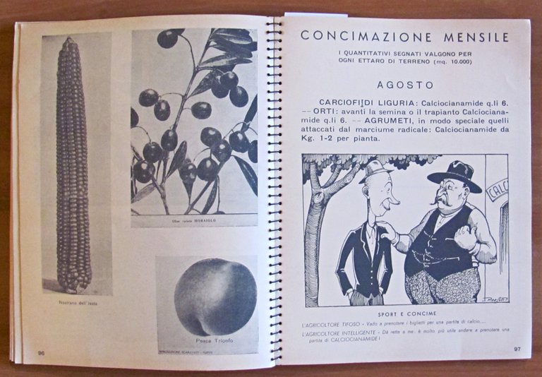 L'AGENDA DELLA CALCIOCIANAMIDE, 1938 - Illustrato - Concimi
