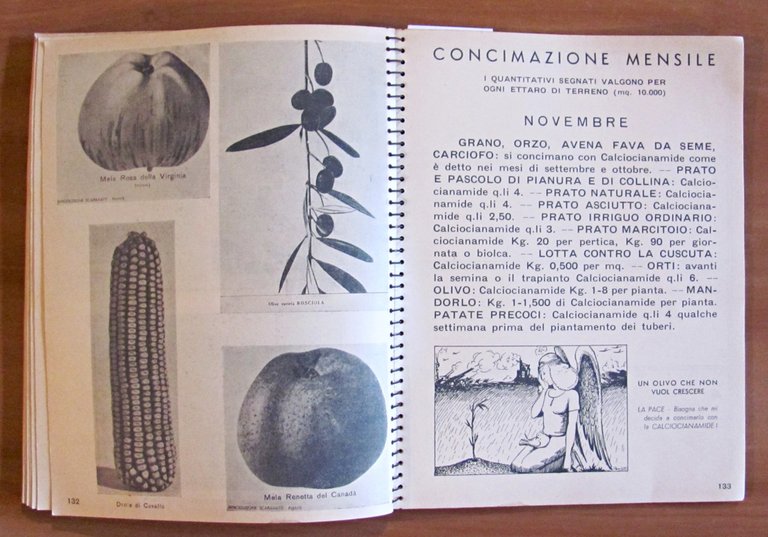L'AGENDA DELLA CALCIOCIANAMIDE, 1938 - Illustrato - Concimi