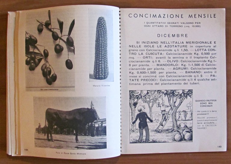 L'AGENDA DELLA CALCIOCIANAMIDE, 1938 - Illustrato - Concimi
