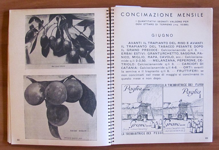 L'AGENDA DELLA CALCIOCIANAMIDE, 1938 - Illustrato - Concimi