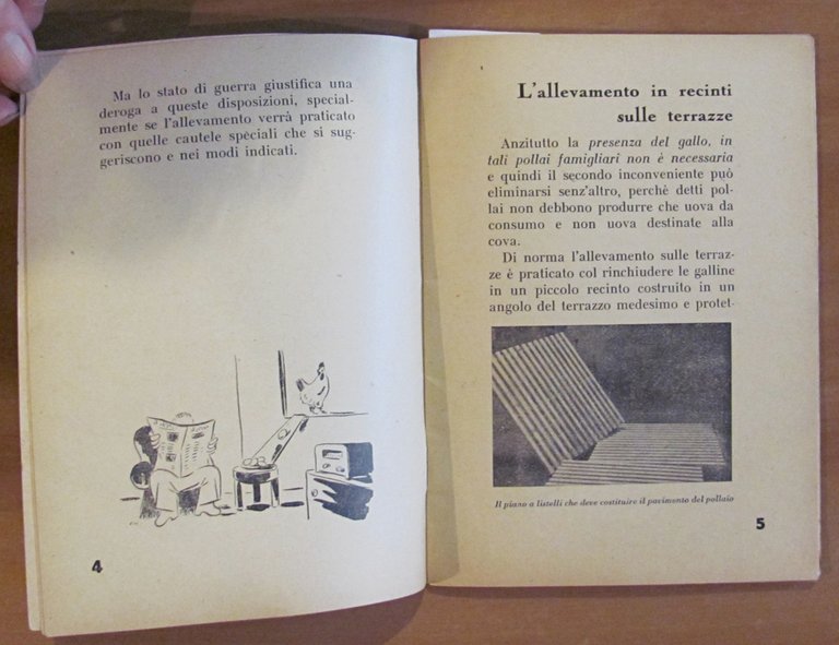 L'ALLEVAMENTO DELLA GALLINA DA UOVA IN CITTA', s.d. anni '30