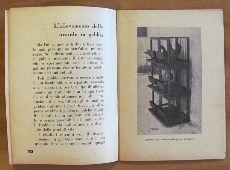 L'ALLEVAMENTO DELLA GALLINA DA UOVA IN CITTA', s.d. anni '30