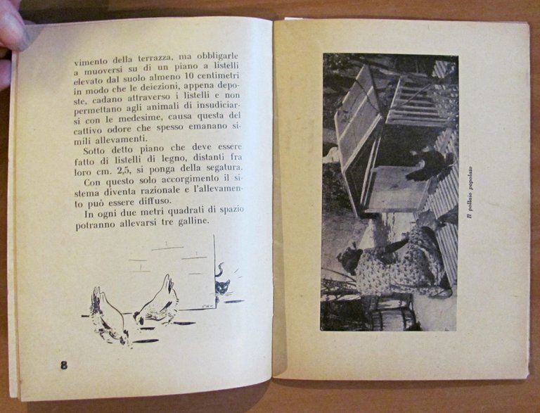 L'ALLEVAMENTO DELLA GALLINA DA UOVA IN CITTA', s.d. anni '30