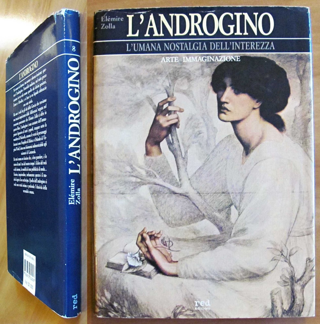 L'ANDORGINO - L'Umana Nostralgia dell'Interezza, I ed. 1989 | Immagine principale