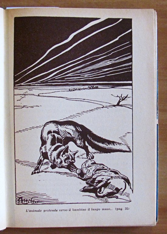 L'AVVOLTOIO SUL NIDO, 1950 - ill. MUSSINO