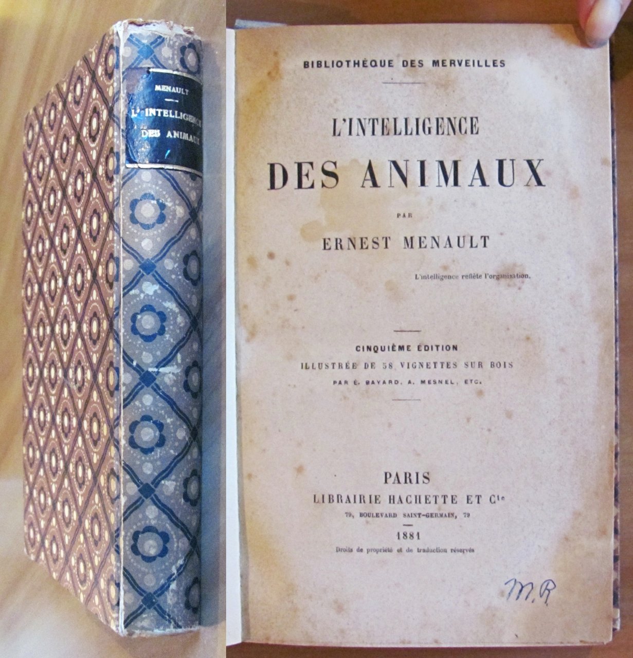 L'INTELLIGENCE DES ANIMAUX - Bibliotheque des Merveilles, 1881