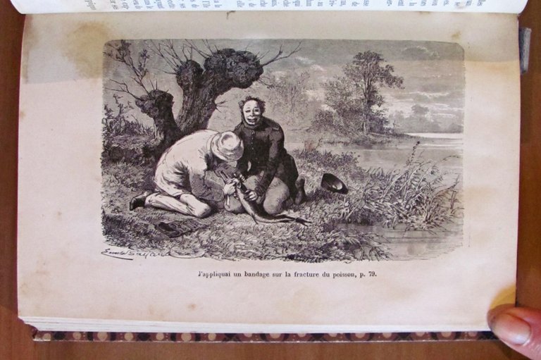 L'INTELLIGENCE DES ANIMAUX - Bibliotheque des Merveilles, 1881