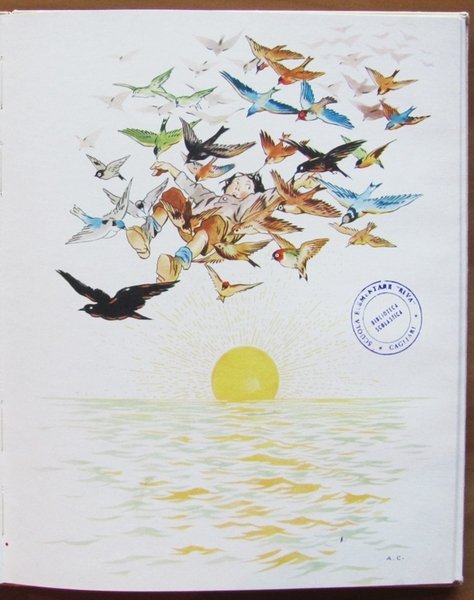 L'ISOLA DEGLI UCCELLI e LO SPAVENTAPASSERI