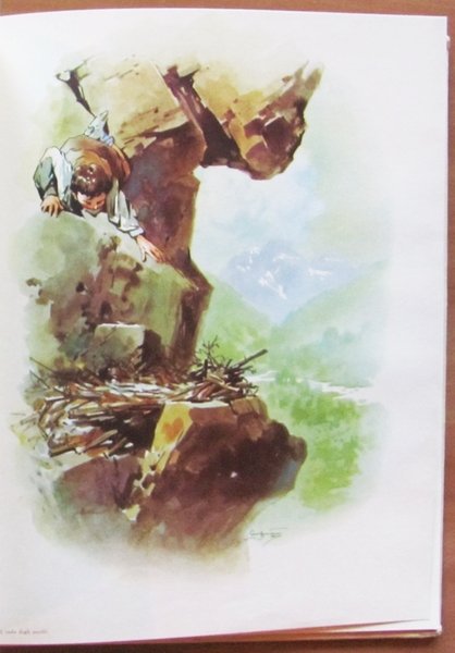 L'ISOLA DEGLI UCCELLI e LO SPAVENTAPASSERI