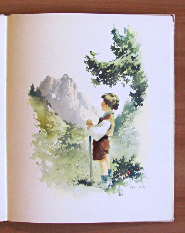 L'ISOLA DEGLI UCCELLI e LO SPAVENTAPASSERI