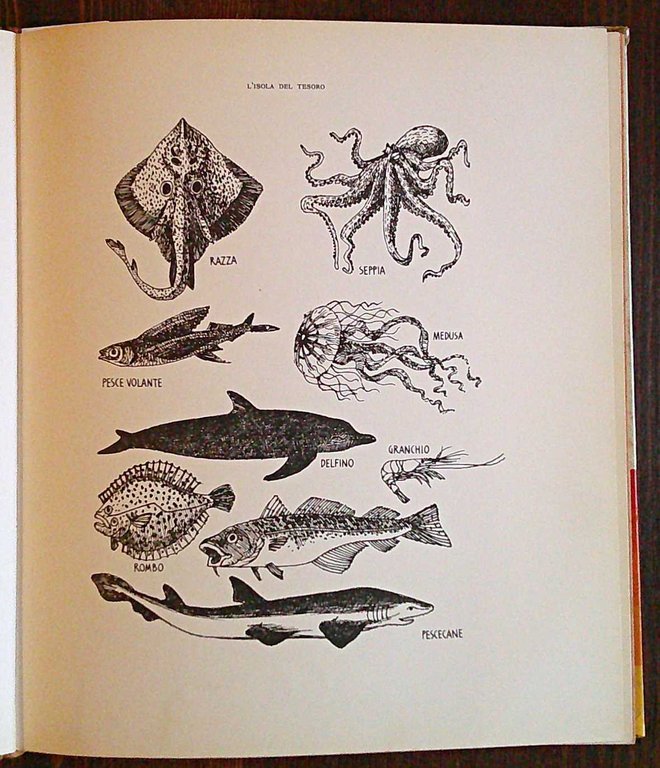 L'ISOLA DEL TESORO, 1966