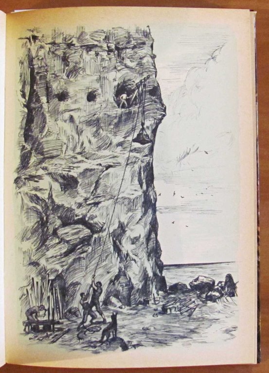 L'ISOLA MISTERIOSA - Biblioteca La Ginestra - ill. VETTOR