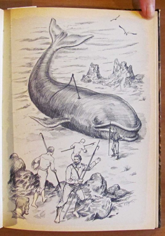 L'ISOLA MISTERIOSA - Biblioteca La Ginestra - ill. VETTOR