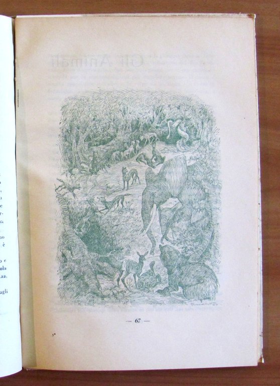 L'ITINERARIO MAGICO da Pinocchio e Robinson, I ed. 1944 ill. …