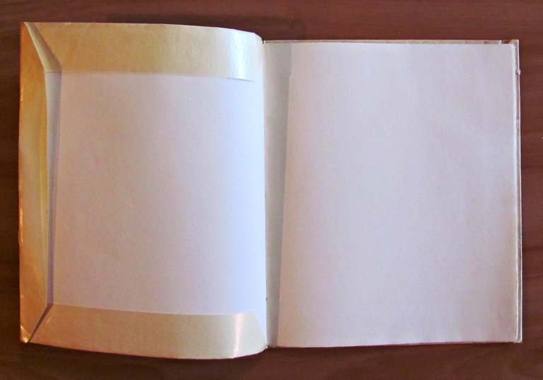 L'UOMO CHE RUBO' LA GIOCONDA