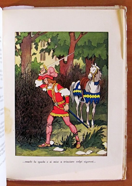 LA BELLA ADDORMENTATA NEL BOSCO - illustrata da DOMENICO NATOLI