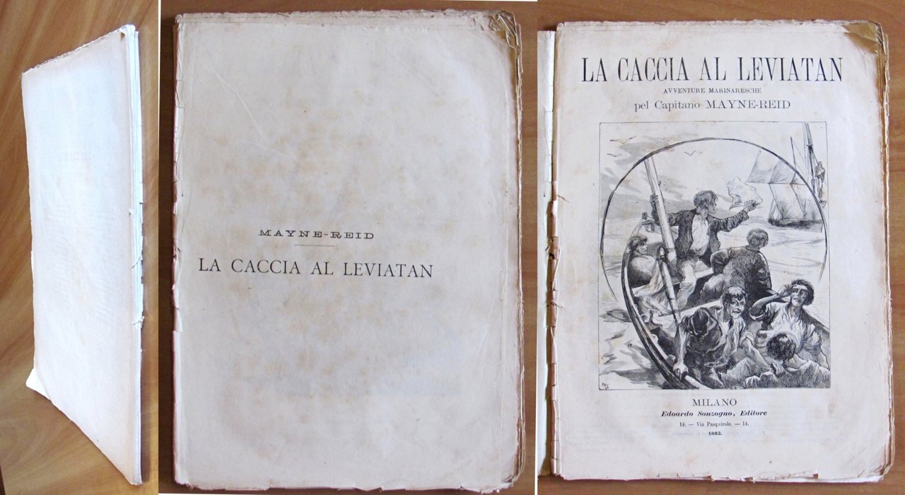 LA CACCIA AL LEVIATAN - Avventure marinaresche, 1882