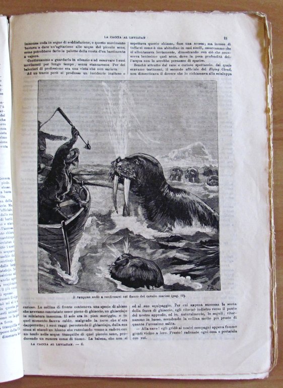 LA CACCIA AL LEVIATAN - Avventure marinaresche, 1882