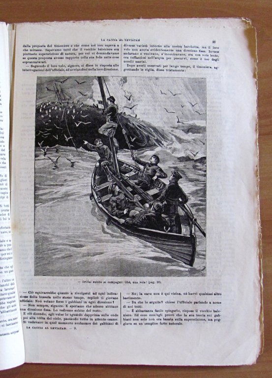LA CACCIA AL LEVIATAN - Avventure marinaresche, 1882