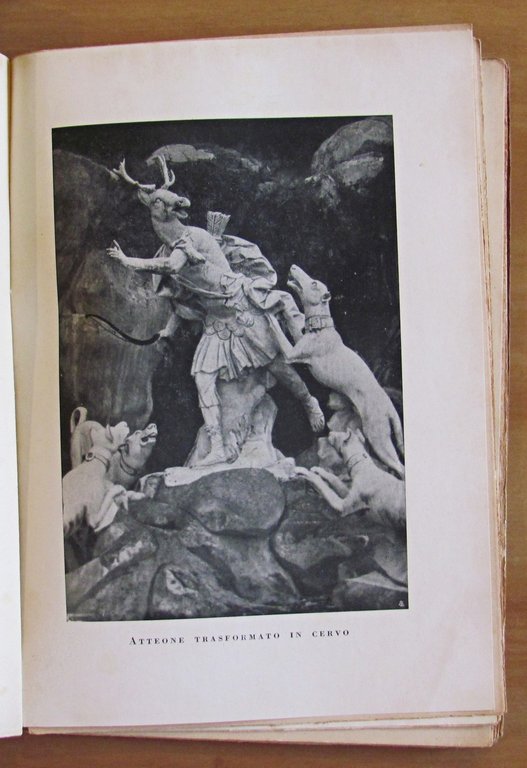 LA CITTA' REALE - Caserta ed i suoi fasti, I …