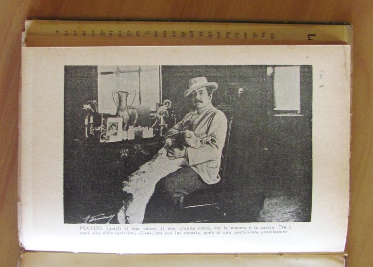 La divertente piccola storia