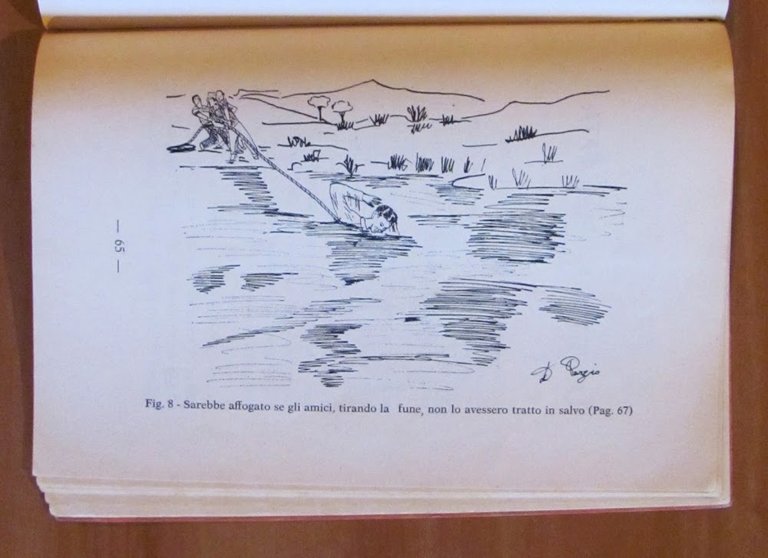 LA FATA EUFORA ED IL MAGO MALOFORO, I ed. 1962 …