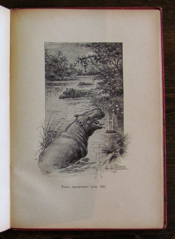 LA GIRAFFA BIANCA, 1928 - ill. G.G. BRUNO