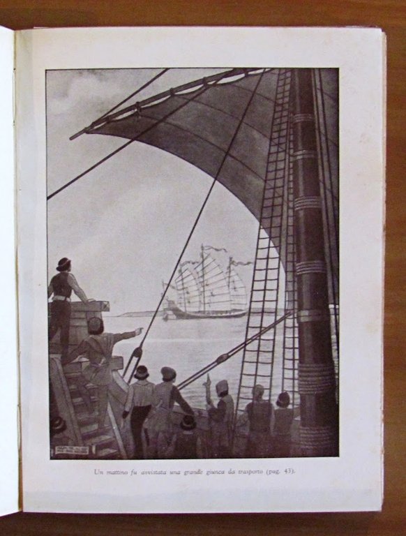 LA MIMOSA D'ORO - STORIE DI ITALIANI - Collana I …