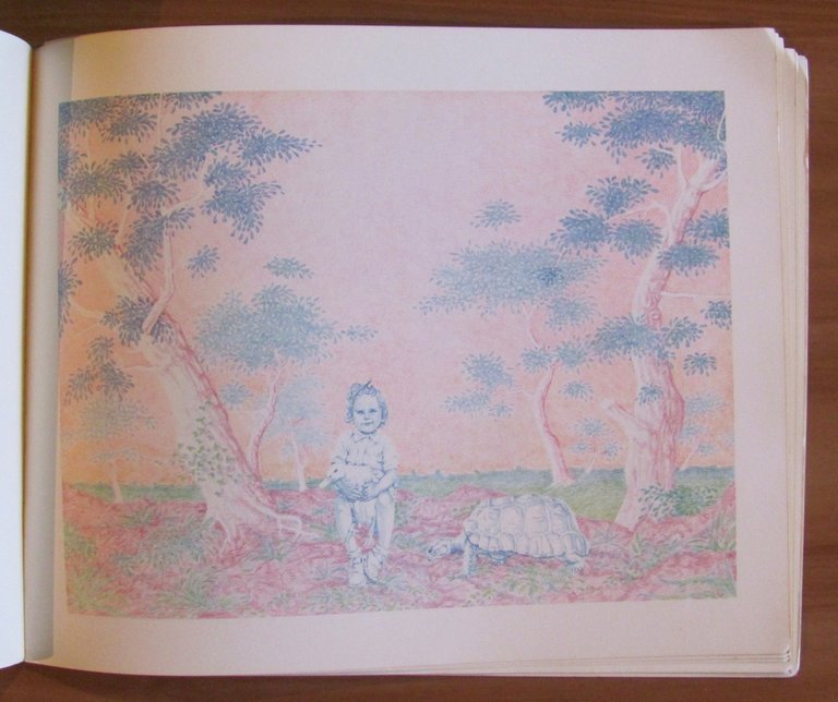 LA NUOVA FATA DAI CAPELLI TURCHINI, 1983 - ill. GRASSO …