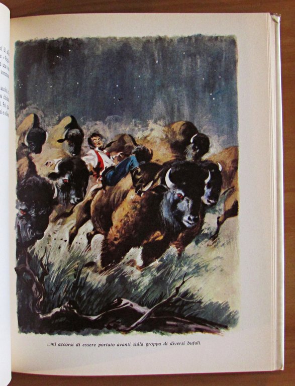 LA REGINA BIANCA DEI NAVAJOS - Collana I Grandi Libri …