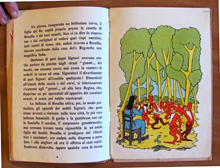 LA REGINA DEGLI GNOMI