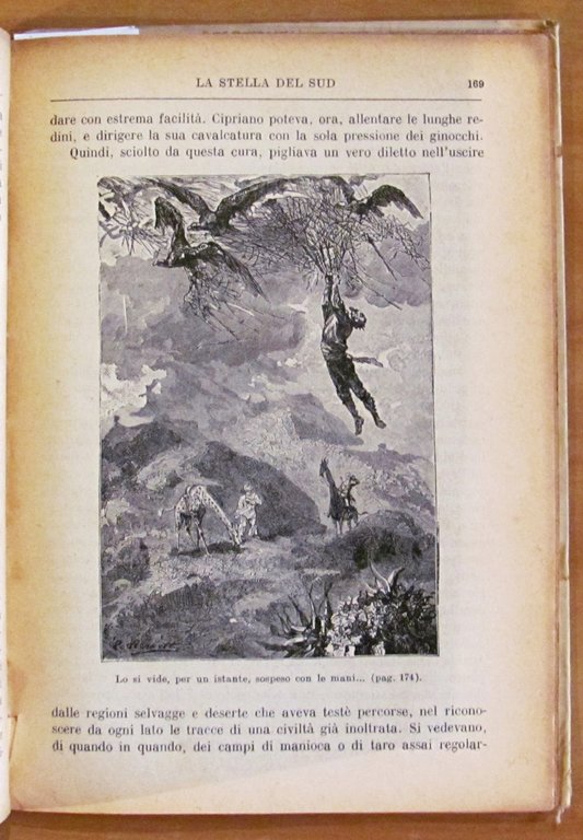LA STELLA DEL SUD - Viaggi Straordinari, anni '20 - …