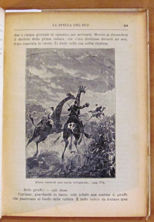 LA STELLA DEL SUD - Viaggi Straordinari, anni '20 - …