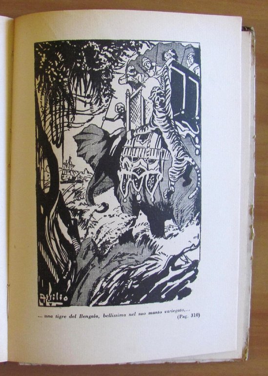 LA TERRIBILE BONACCIA - Coll. AZZURRA, 1939 - ill. MUSSINO