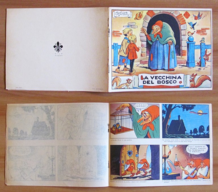 LA VECCHINA DEL BOSCO - ill. SGRILLI - Album da … | Immagine Gallery 1