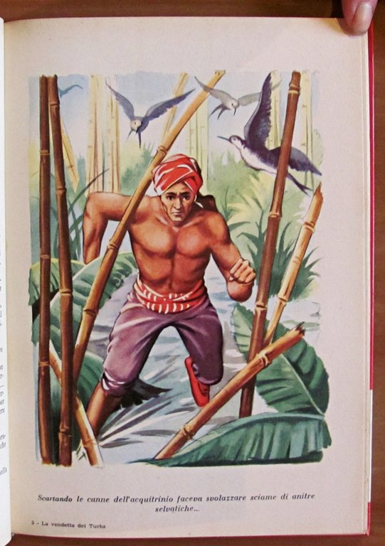 LA VENDETTADEI TUGHS - Collana Nord-Ovest, 1957