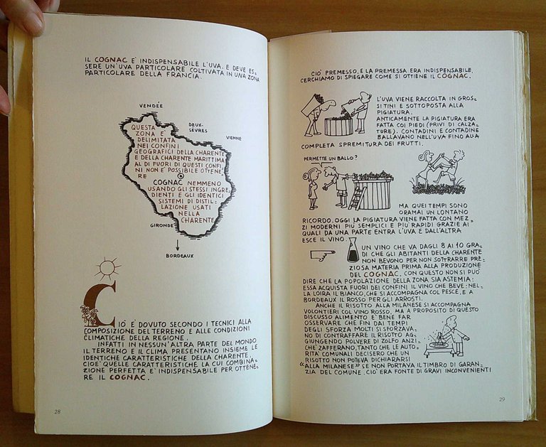 LA VERA STORIA (O QUASI) DEL COGNAC - Tiratura Limitata, …