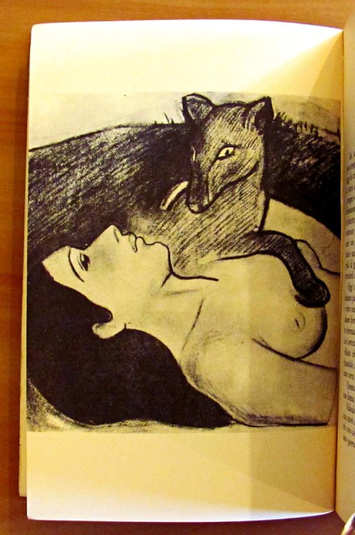 LA VOLPE - LE MIE MANI, IL TUO VOLTO